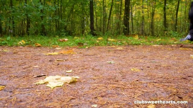 Превью Голые лесбиянки ласкают мокрые киски в ванной комнате № 42396